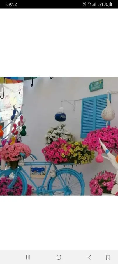Duru Butik Otel Bodrum 3*,  Turcia