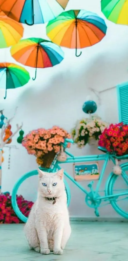Hotel Duru Butik Otel Bodrum