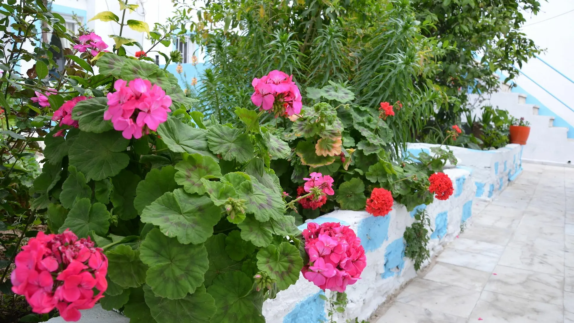 Hotel Duru Butik Otel Bodrum